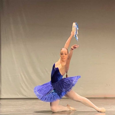 Formate en el mundo del Ballet clásico Escuela Profesional
