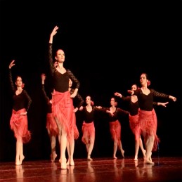 Training in dance, classical ballet and musical theater