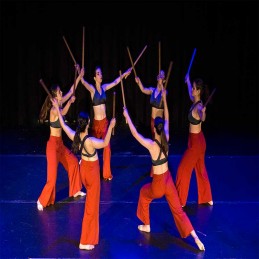School of dance and musical theater in central Madrid