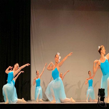 Adult classical ballet classes Professional school Madrid center.